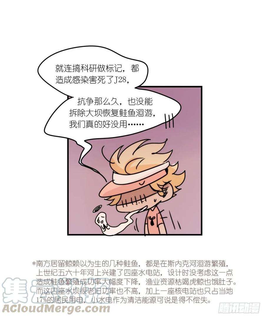 进化之基虎鲸篇：这些杀手不太冷15