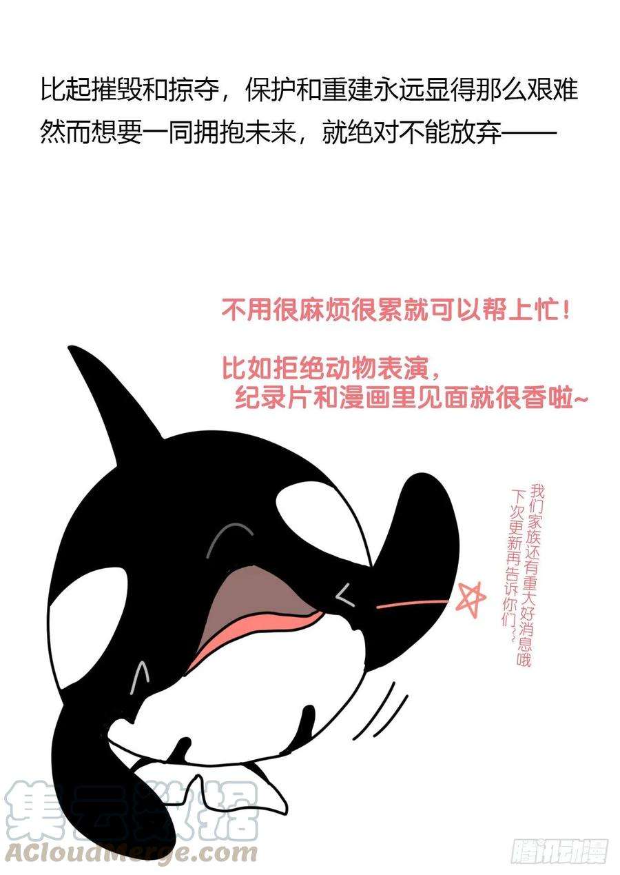 进化之基虎鲸篇：这些杀手不太冷15