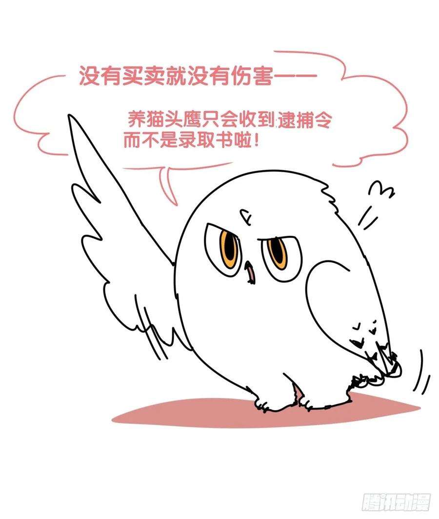 进化之基虎鲸篇：这些杀手不太冷15