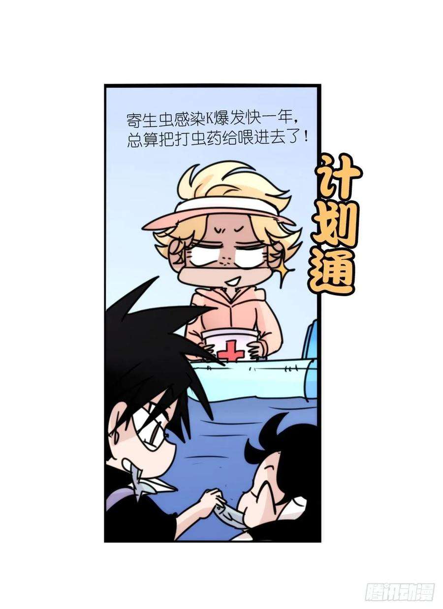 进化之基虎鲸篇：这些杀手不太冷15