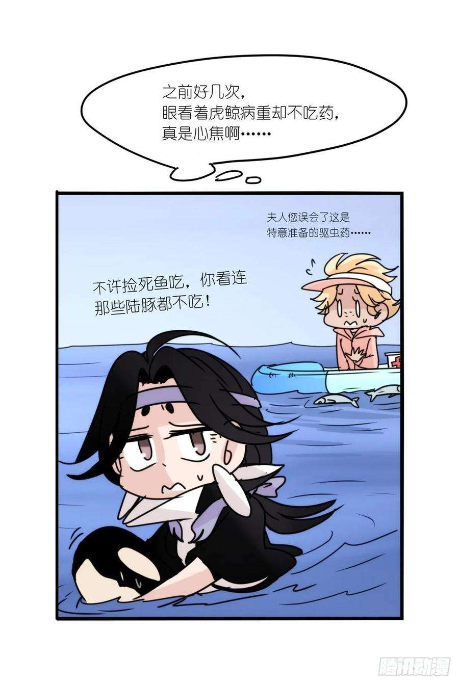 进化之基虎鲸篇：这些杀手不太冷15