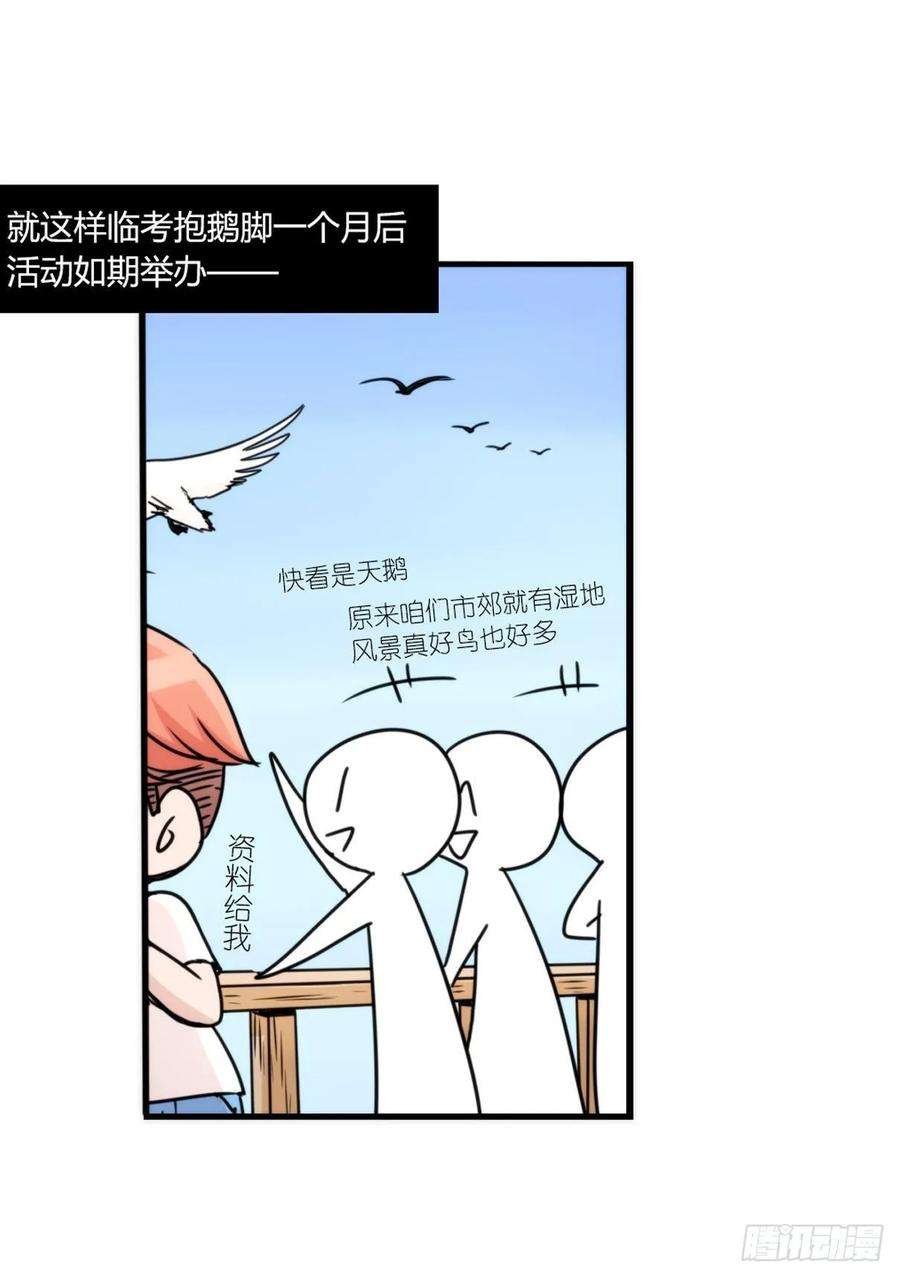 进化之基事业篇II：上吧，二呆！01