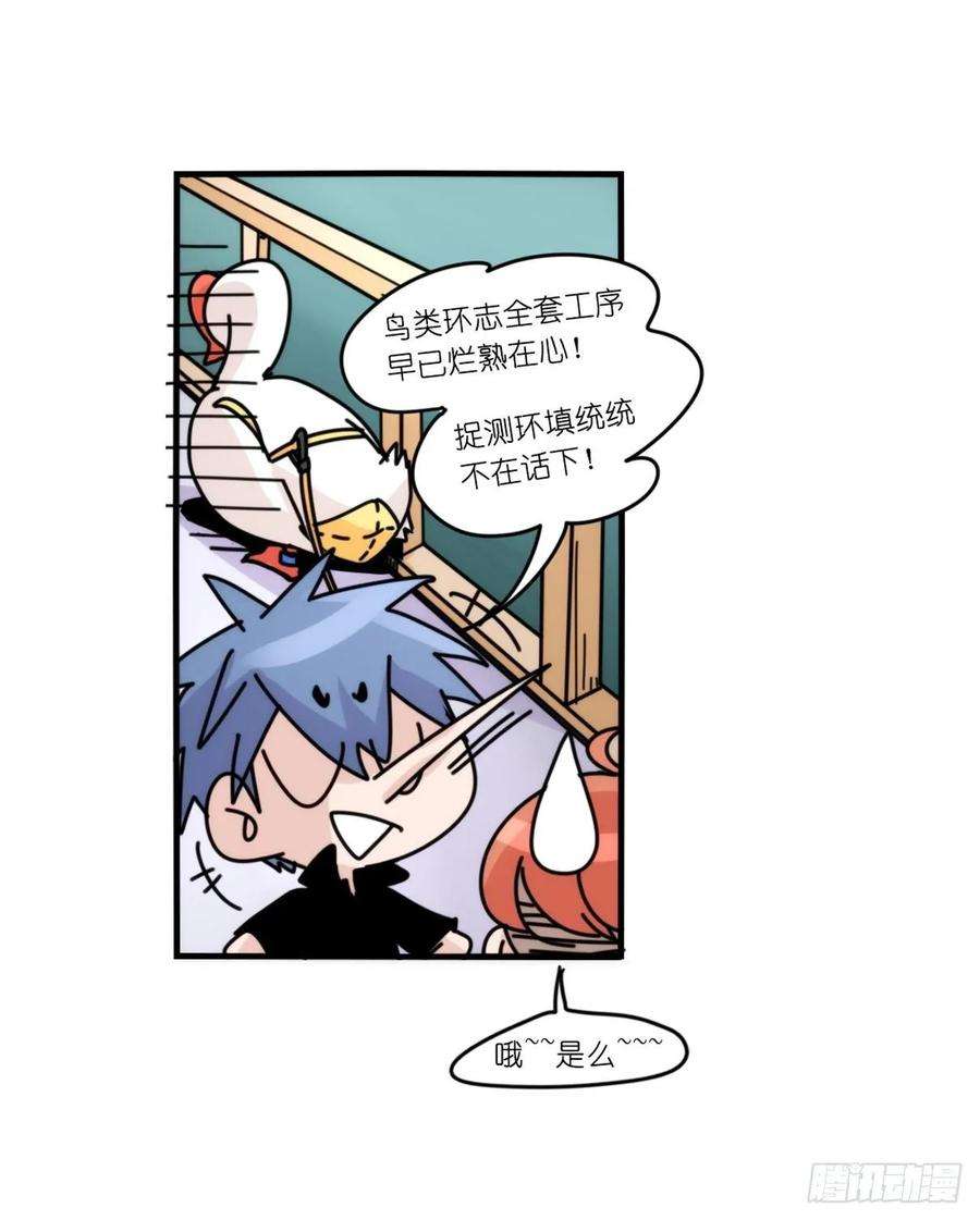 进化之基事业篇II：上吧，二呆！01