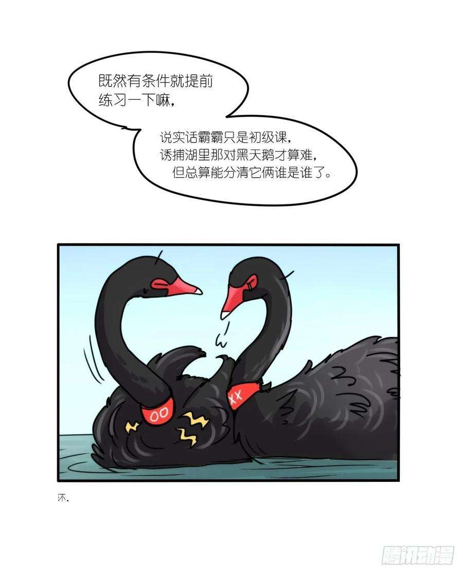 进化之基事业篇II：上吧，二呆！01