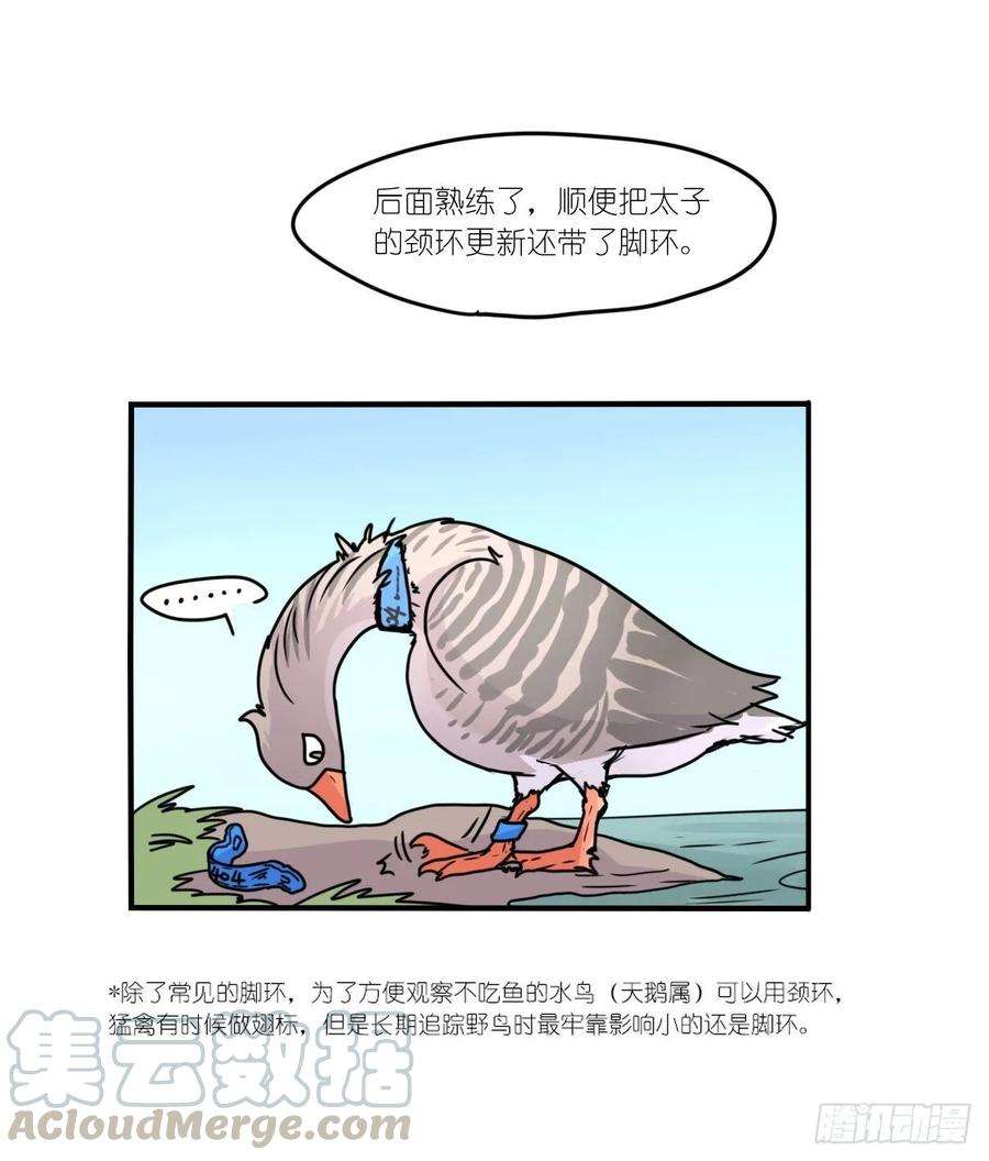 进化之基事业篇II：上吧，二呆！01