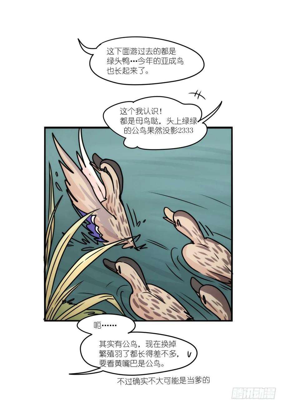 进化之基事业篇II：上吧，二呆！02