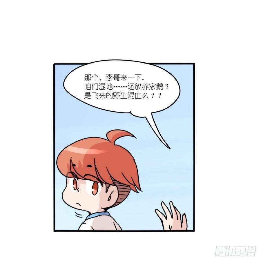 进化之基事业篇II：上吧，二呆！02