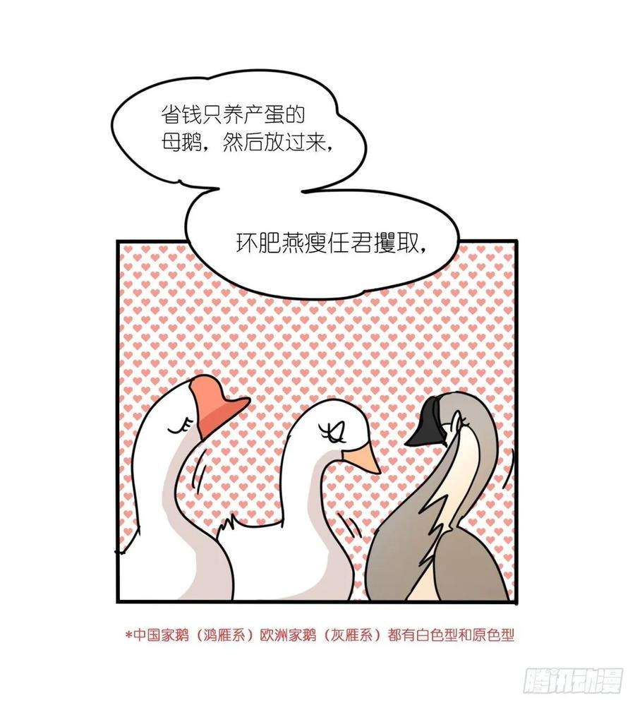进化之基事业篇II：上吧，二呆！02