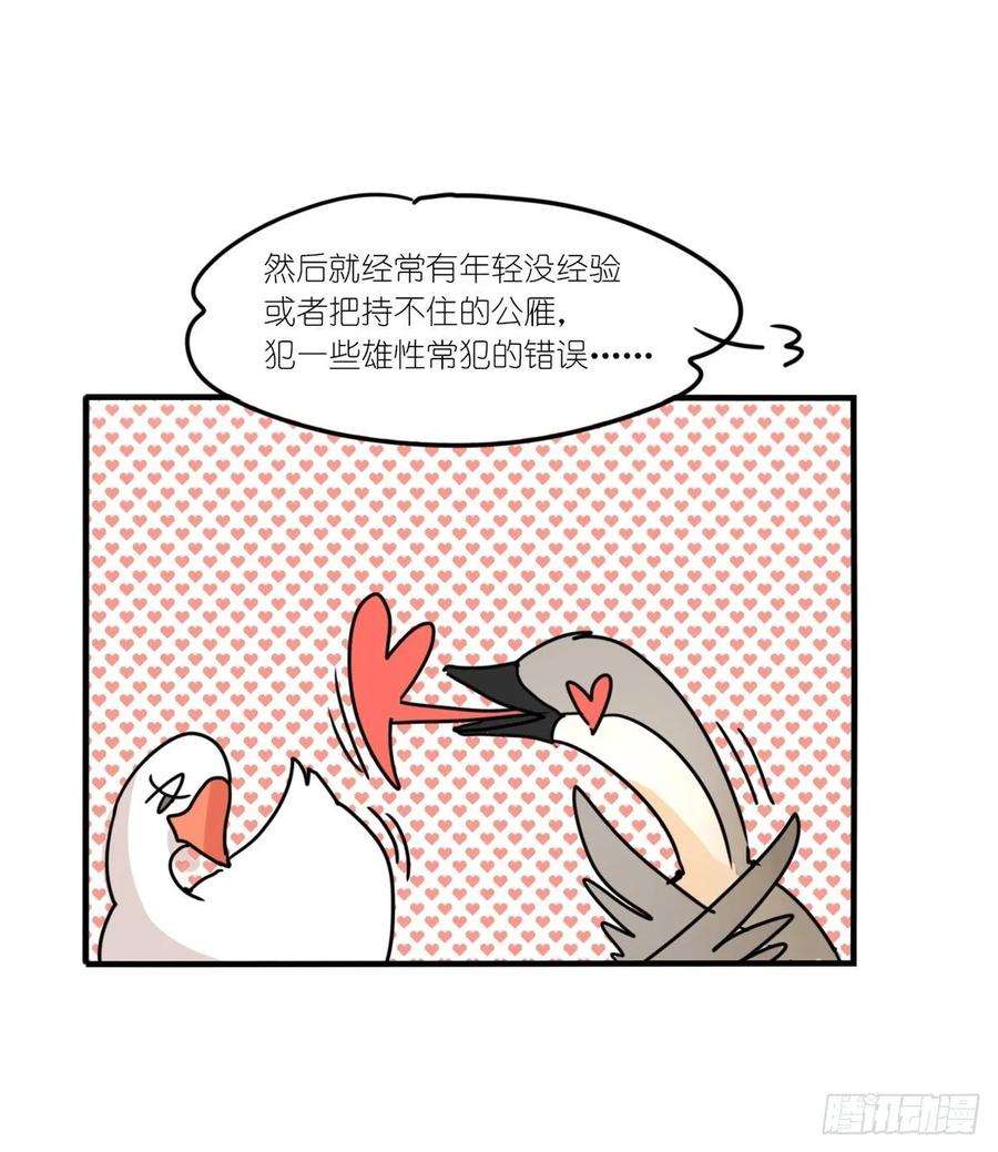 进化之基事业篇II：上吧，二呆！02