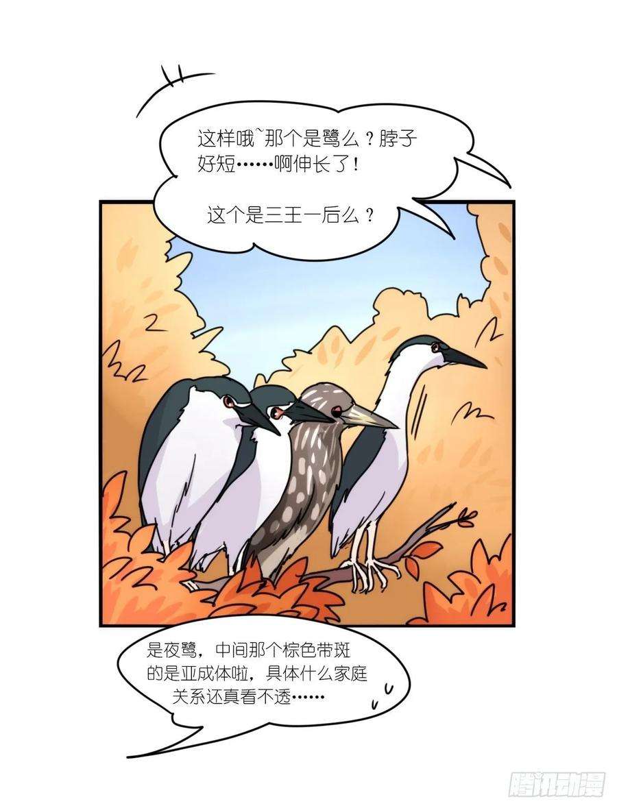 进化之基事业篇II：上吧，二呆！02