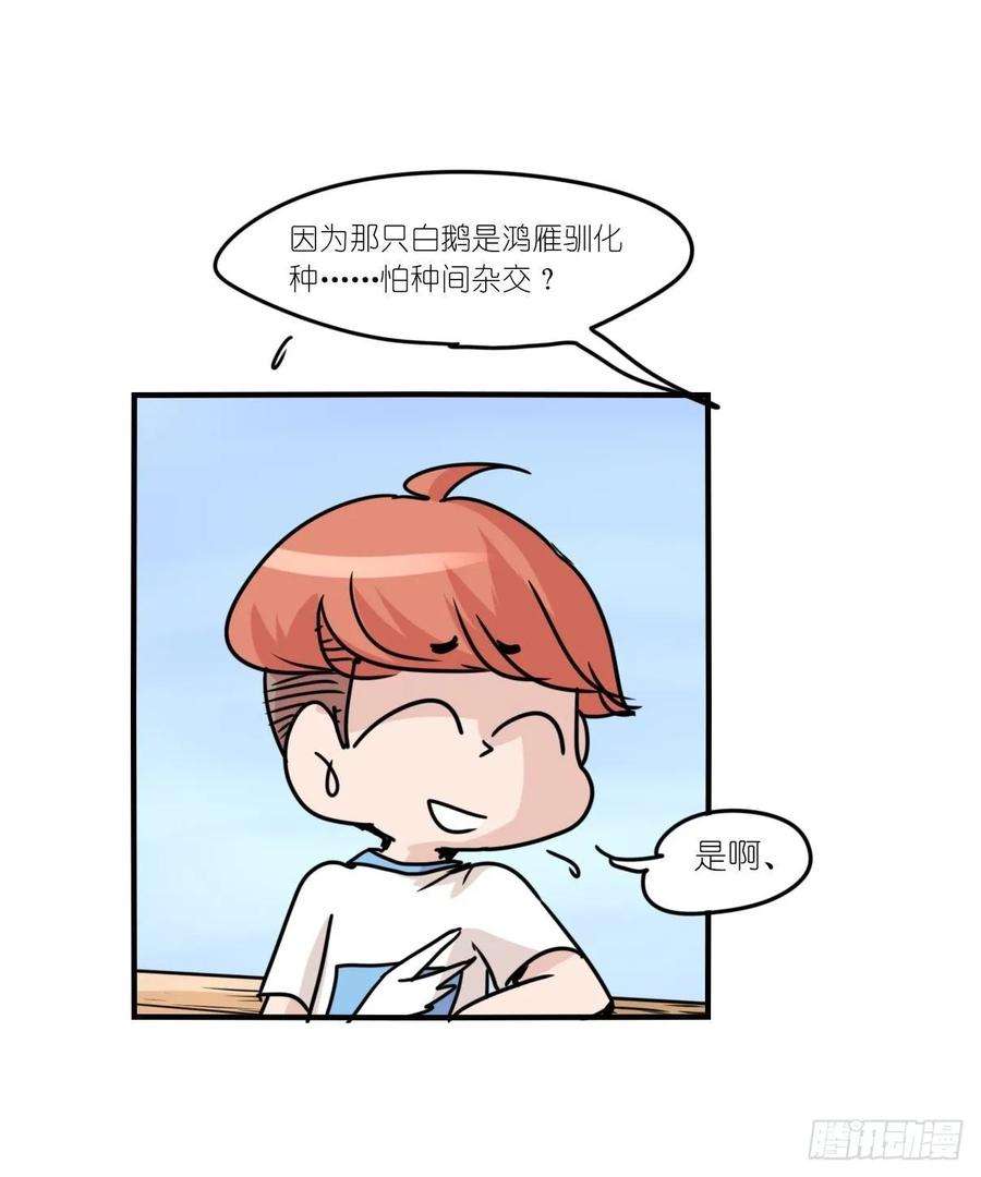 进化之基事业篇II：上吧，二呆！02