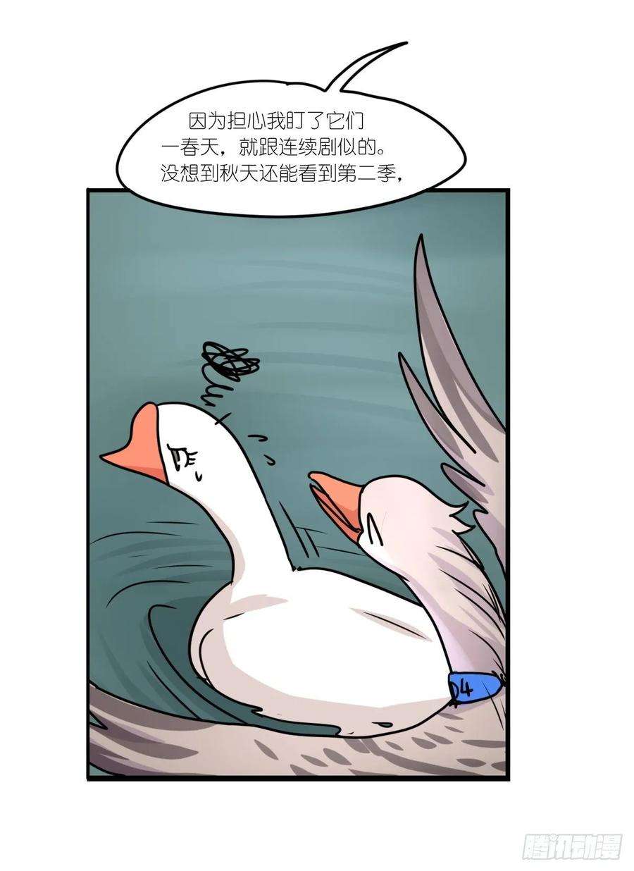 进化之基事业篇II：上吧，二呆！02