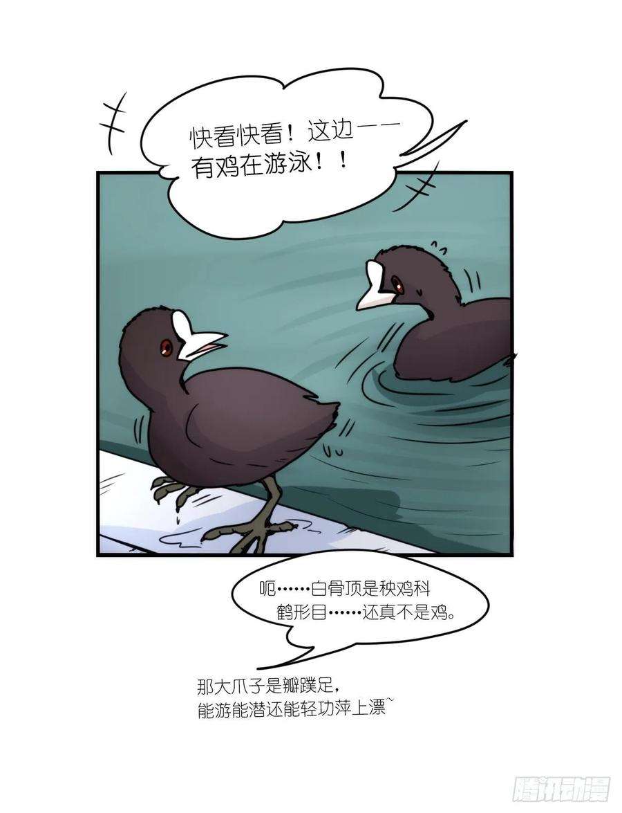 进化之基事业篇II：上吧，二呆！02