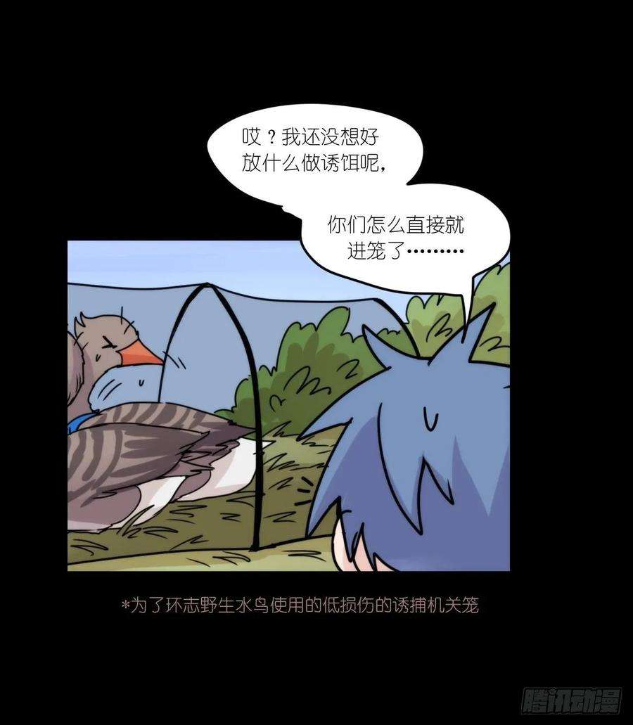 进化之基事业篇II：拜见岳父大人！