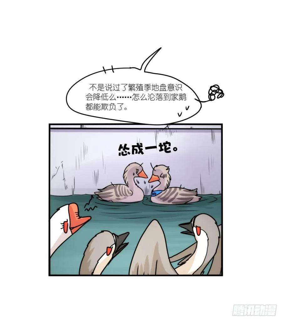 进化之基事业篇II：拜见岳父大人！