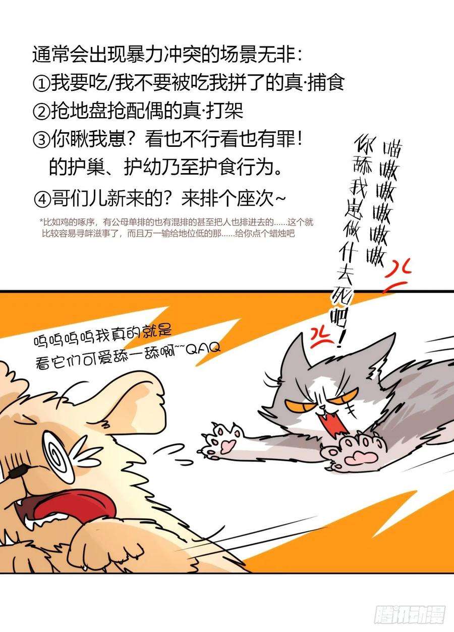 进化之基事业篇II：拜见岳父大人！