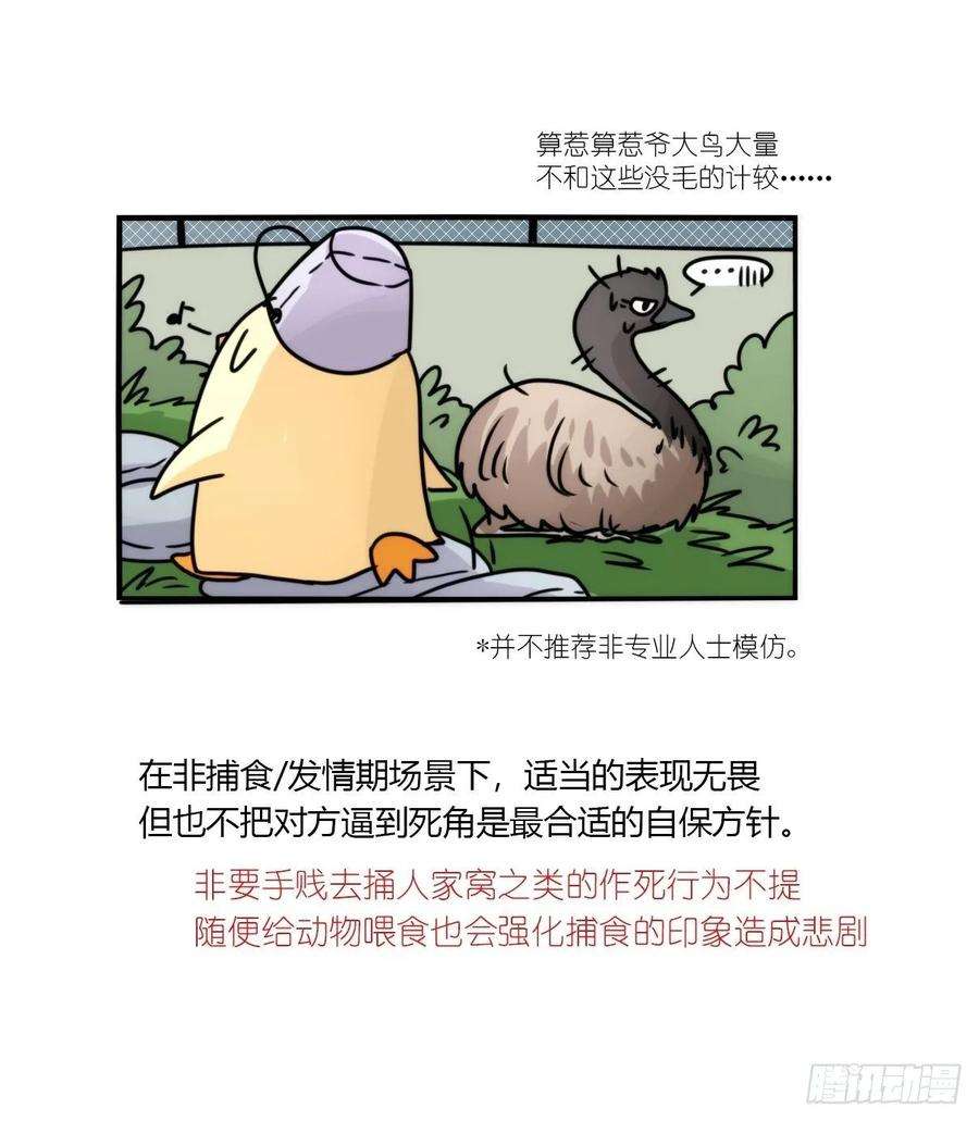 进化之基事业篇II：拜见岳父大人！