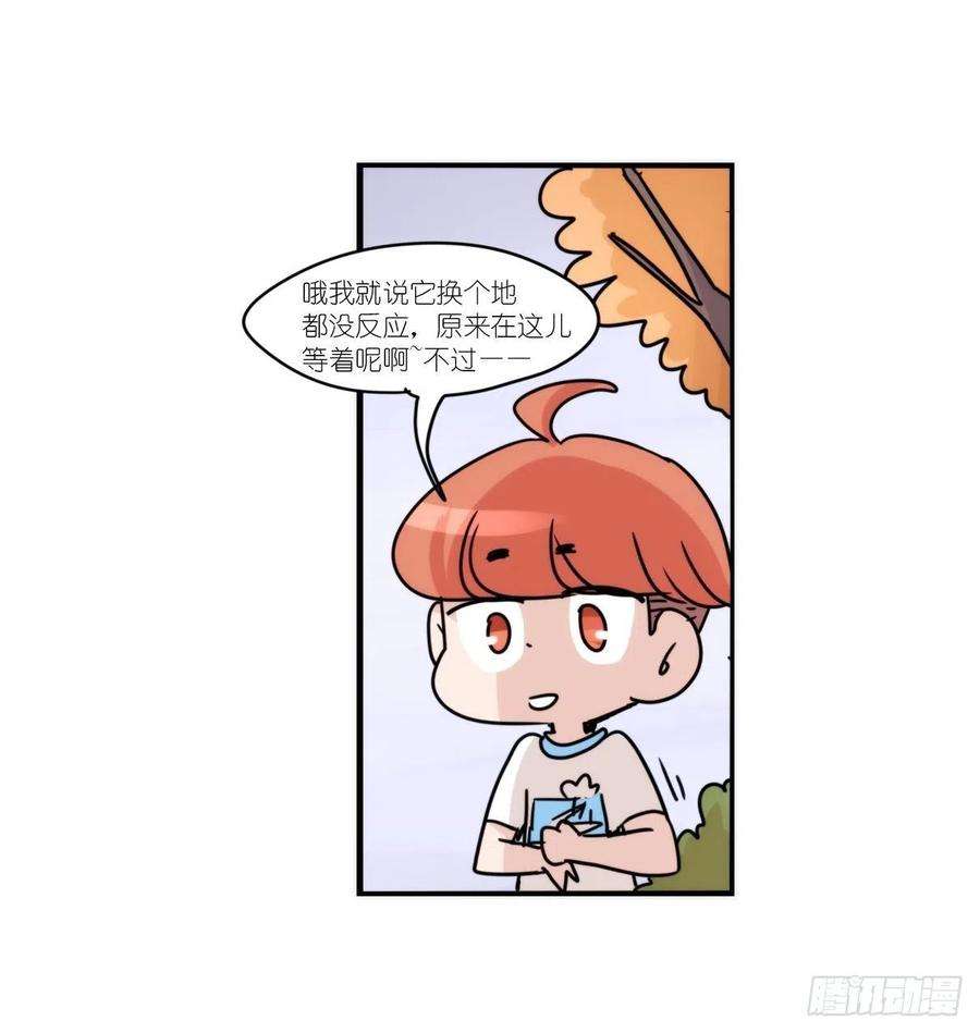进化之基事业篇II：这一夜，究竟……
