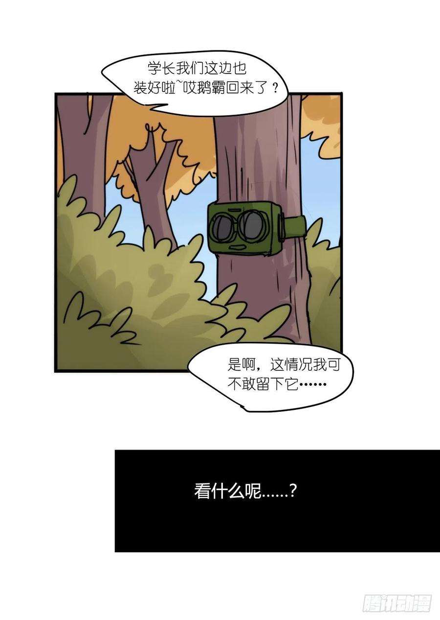 进化之基事业篇II：远在天边近在…？？