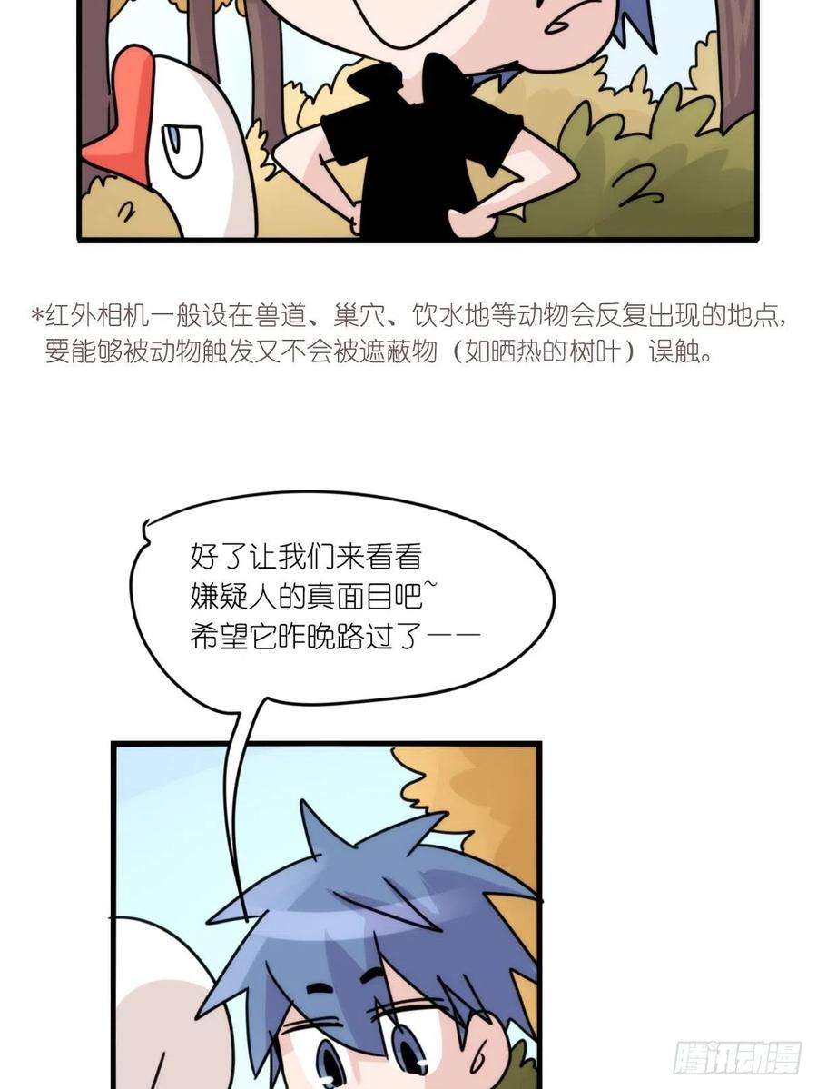 进化之基事业篇II：一级警戒