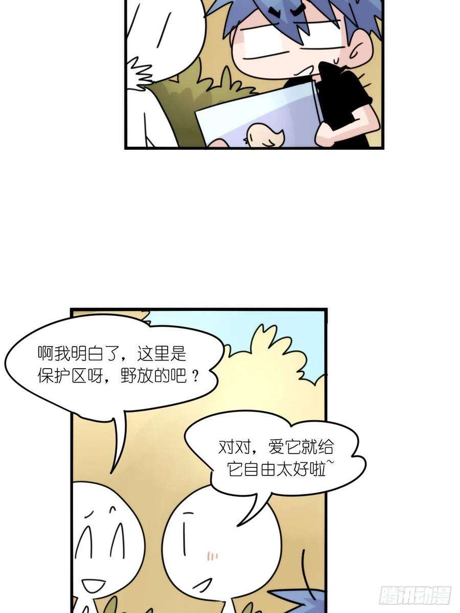 进化之基事业篇II：一级警戒