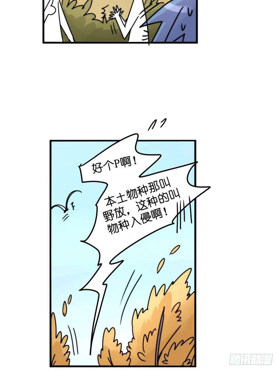 进化之基事业篇II：一级警戒