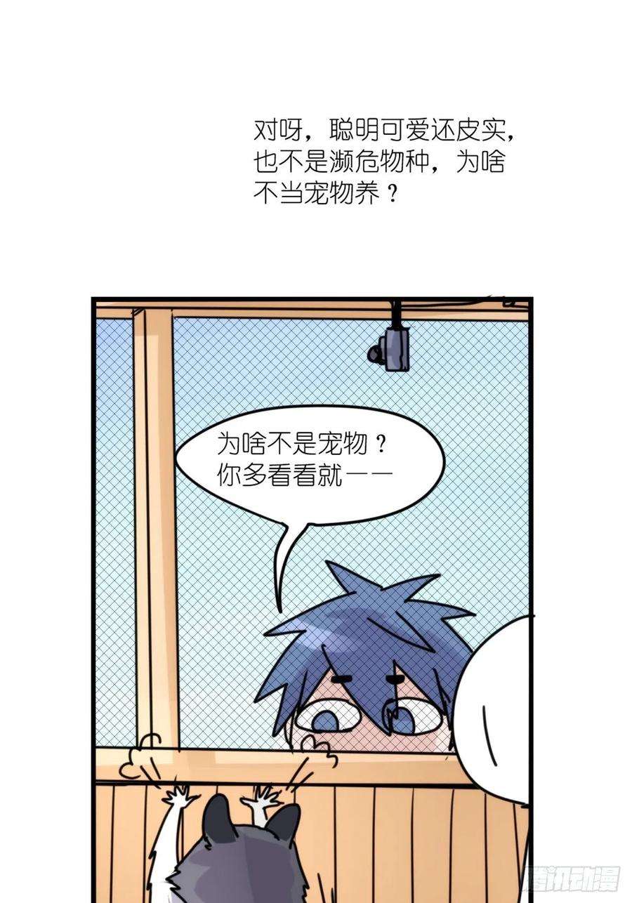 进化之基事业篇II：更大的麻烦-下