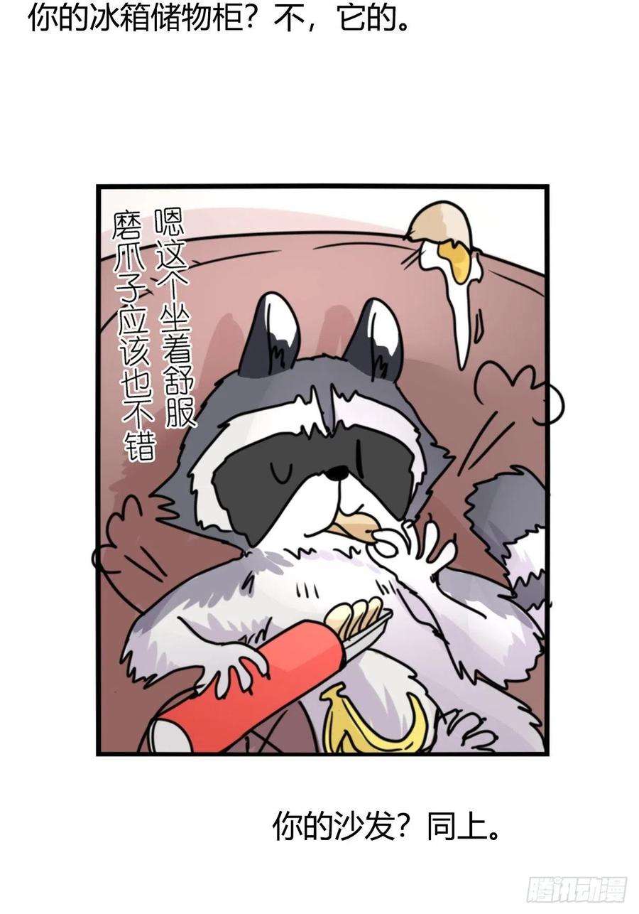 进化之基事业篇II：邪道的光