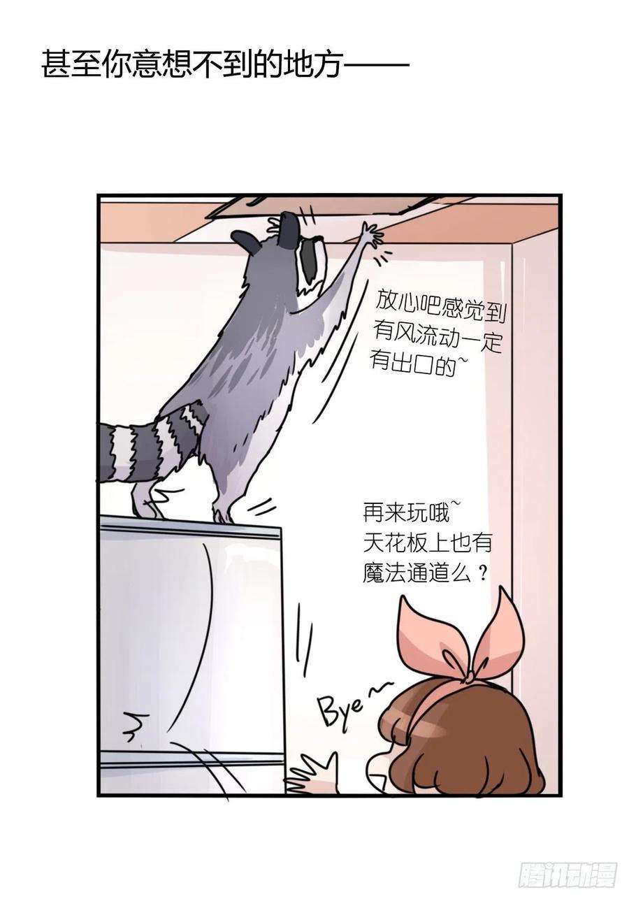 进化之基事业篇II：邪道的光