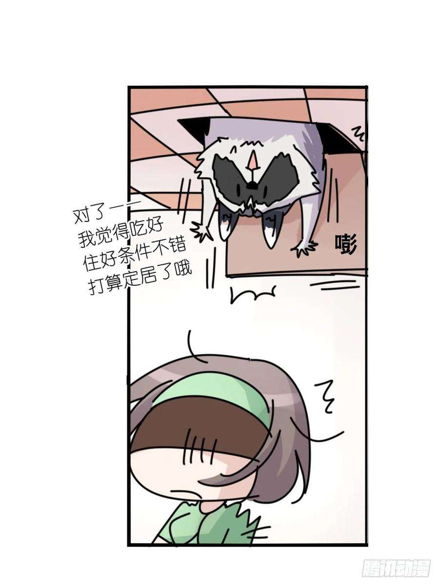 进化之基事业篇II：邪道的光