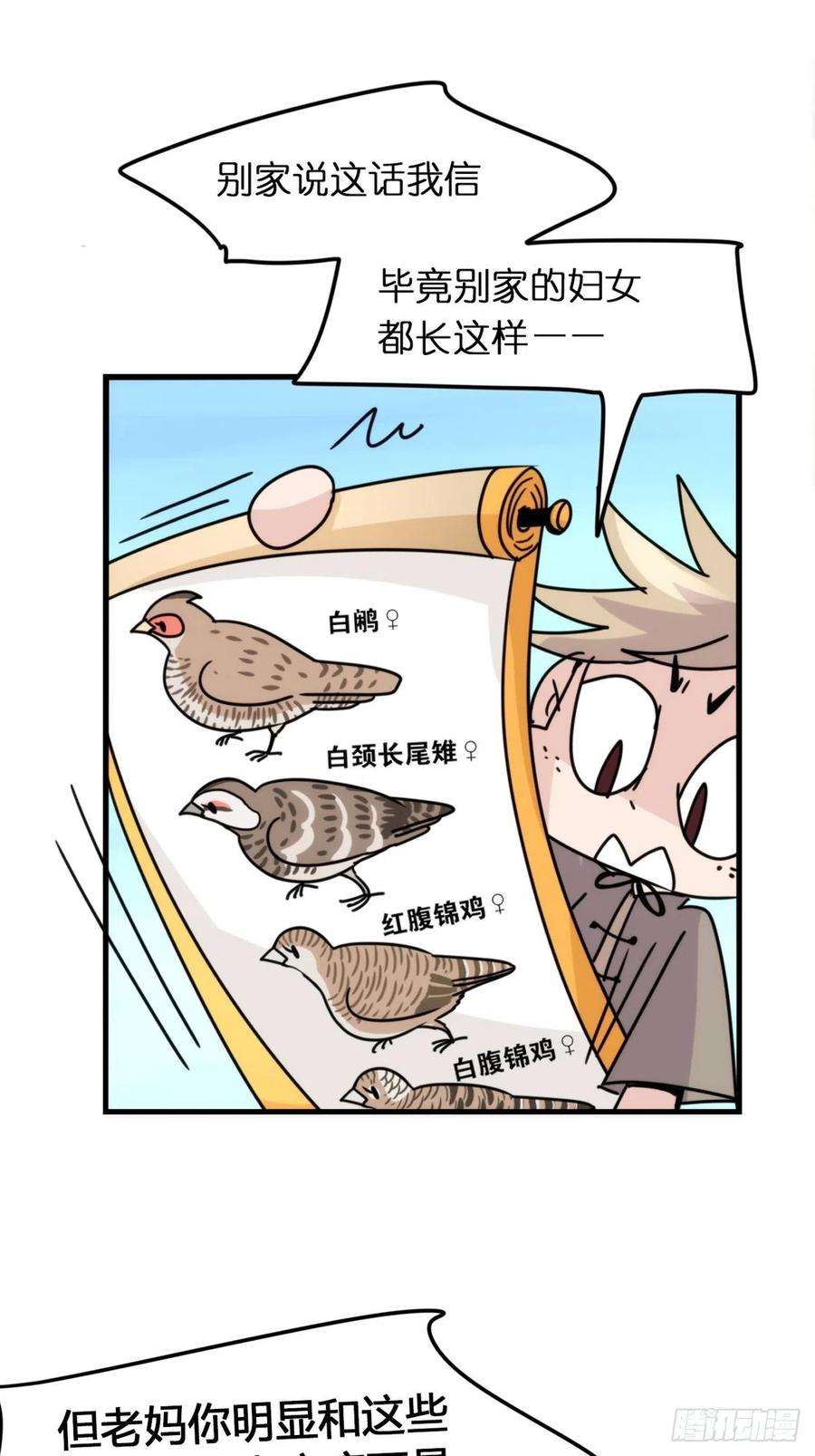 进化之基事业篇II：致绿孔雀01