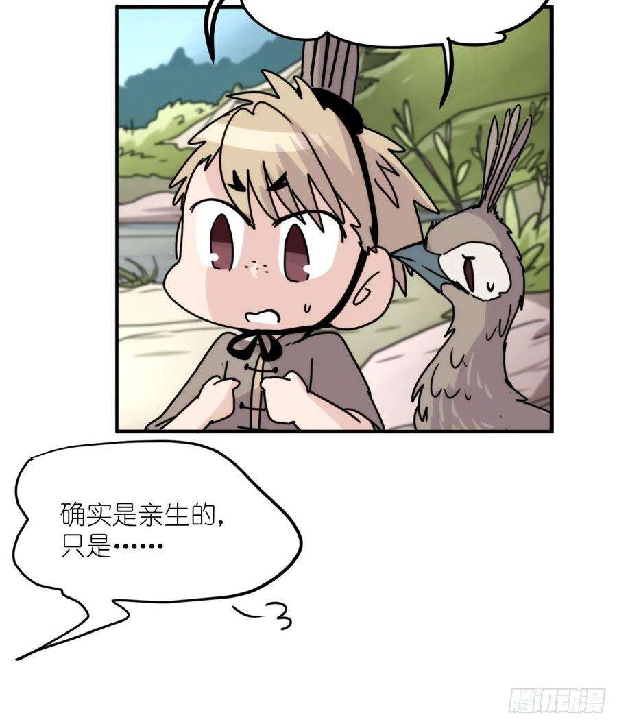 进化之基事业篇II：致绿孔雀01