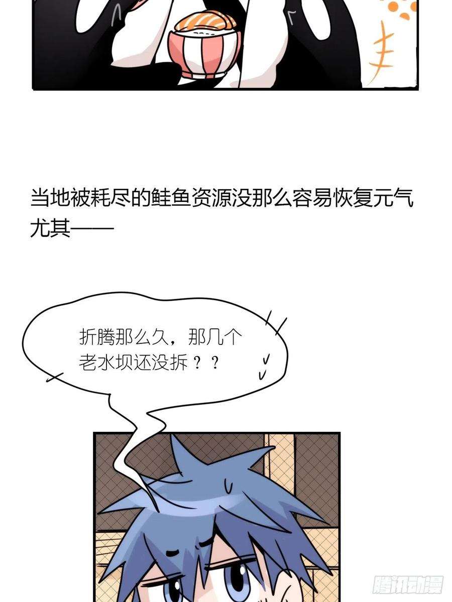 进化之基事业篇II：致绿孔雀01