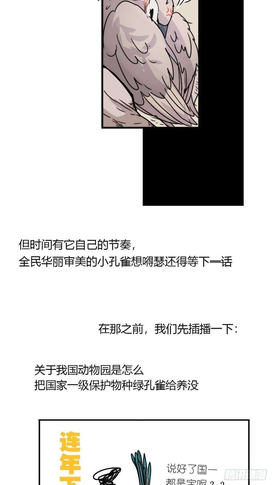 进化之基事业篇II：致绿孔雀01