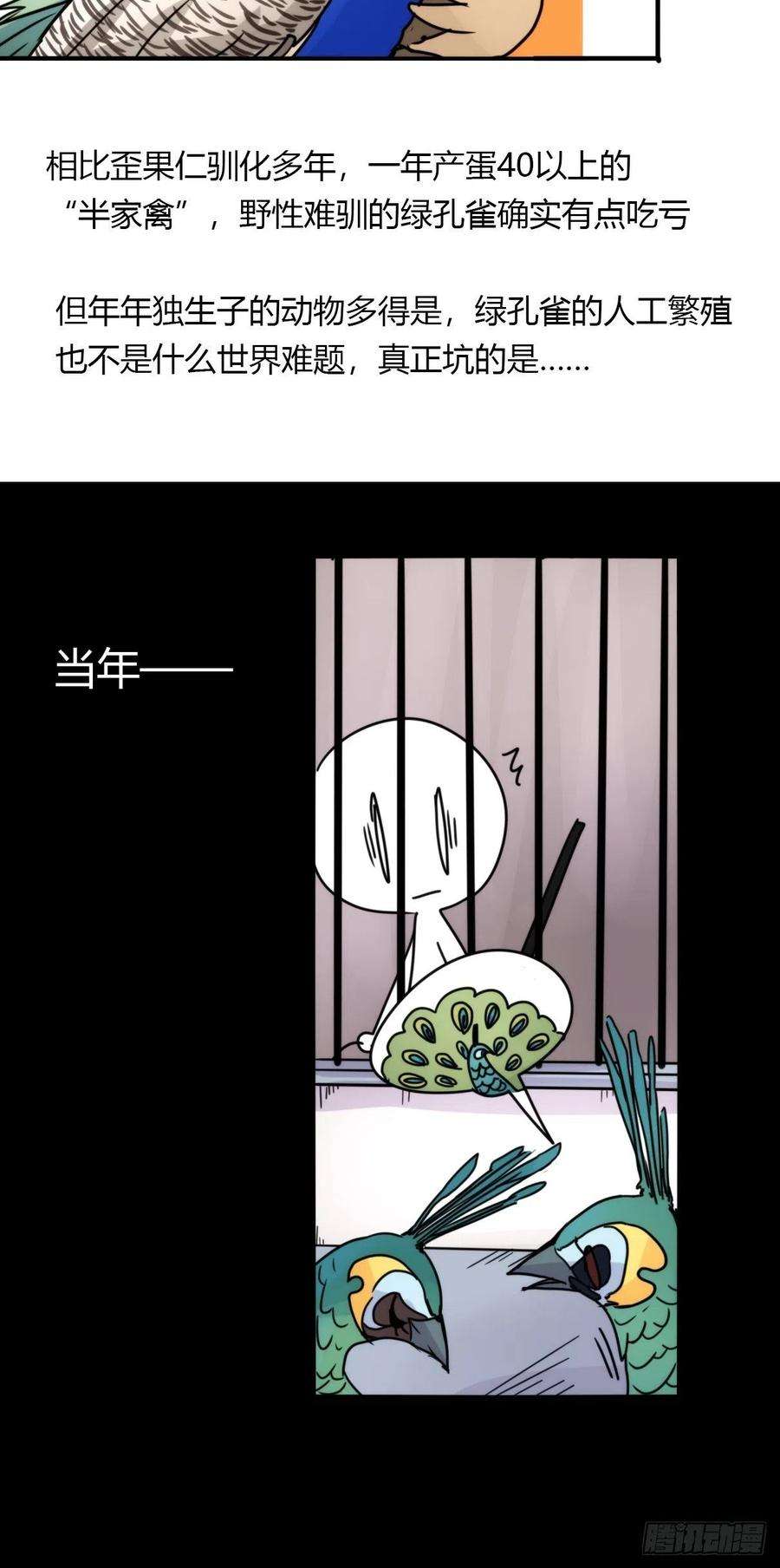 进化之基事业篇II：致绿孔雀01