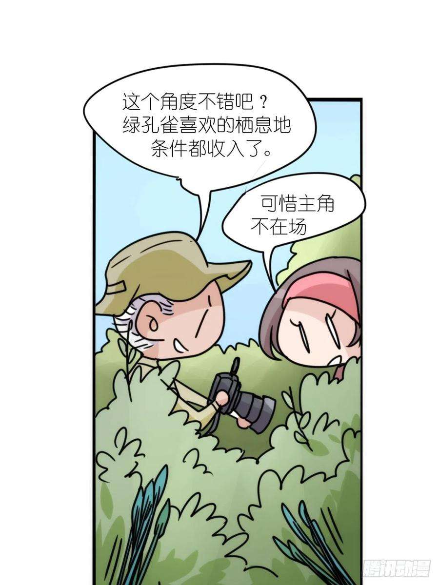 进化之基事业篇II：致绿孔雀04