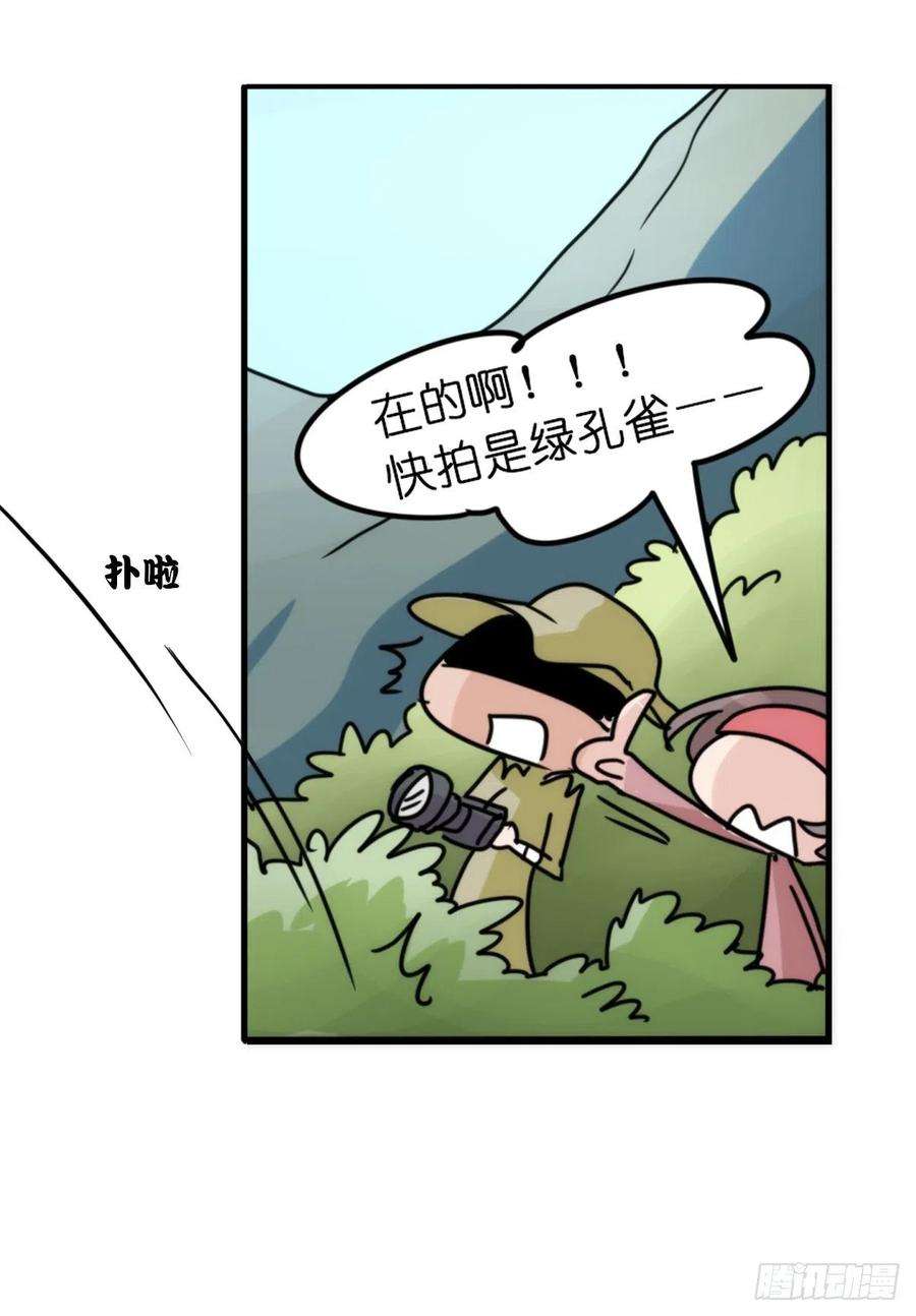 进化之基事业篇II：致绿孔雀04