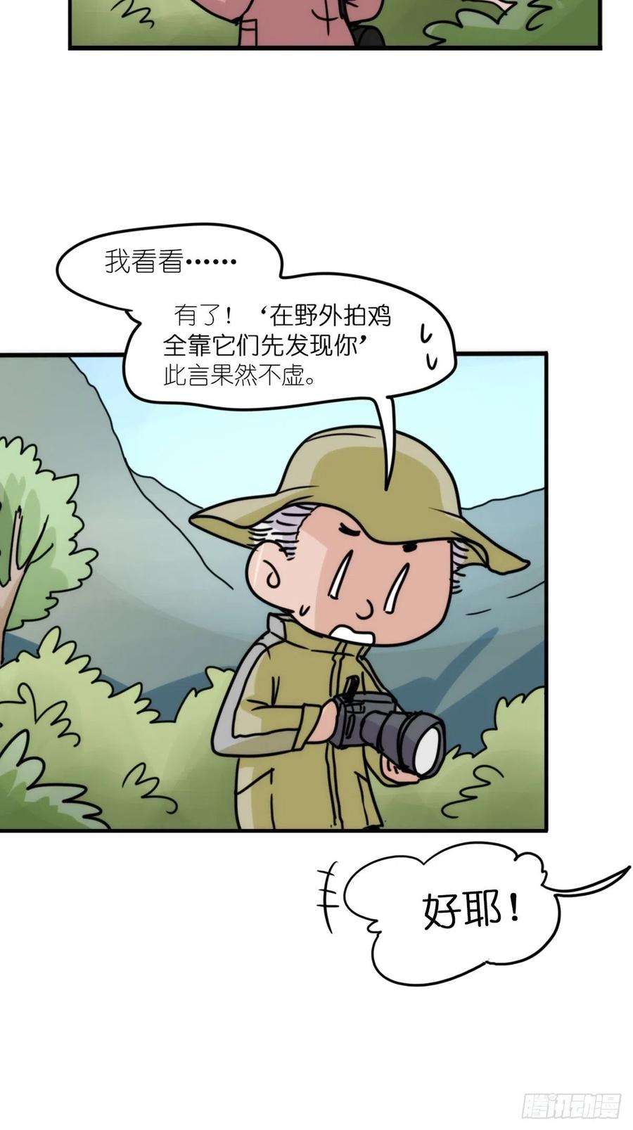进化之基事业篇II：致绿孔雀04