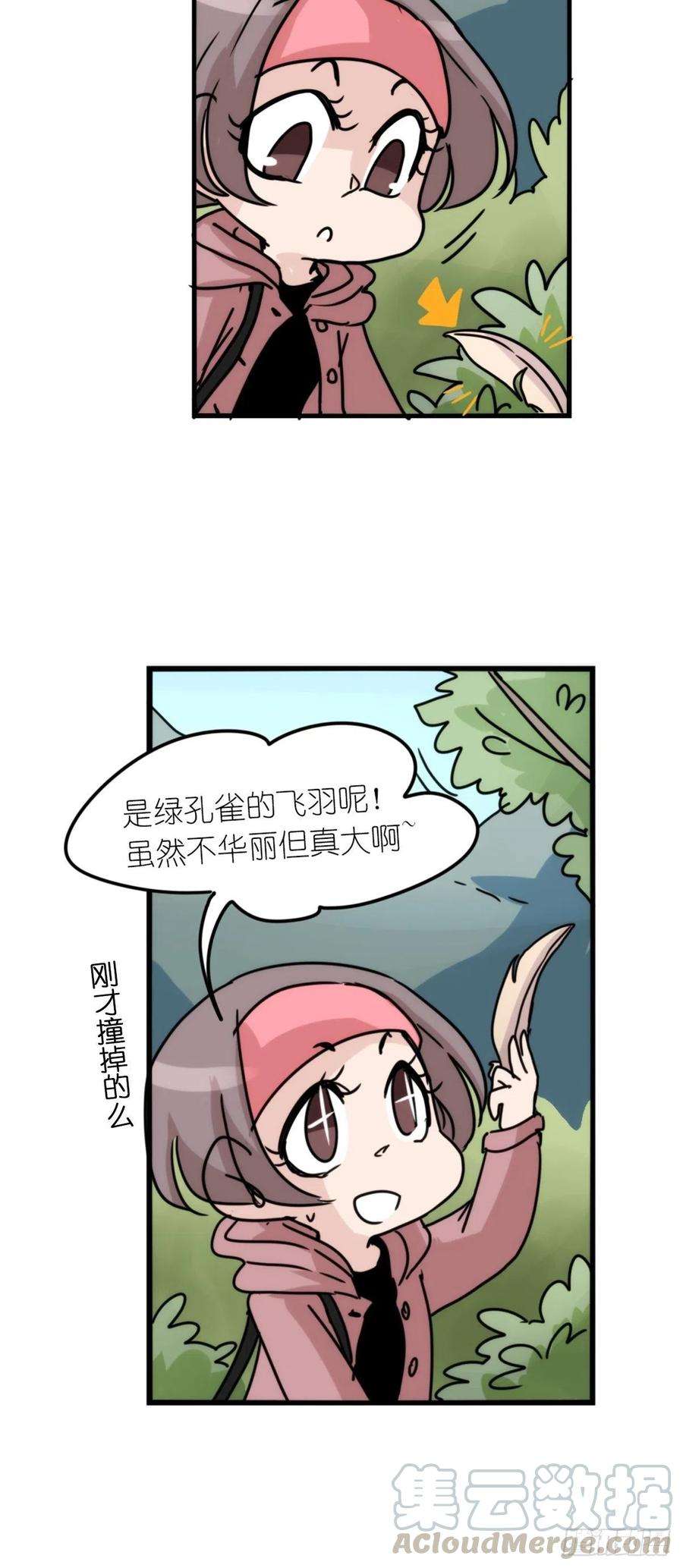 进化之基事业篇II：致绿孔雀04