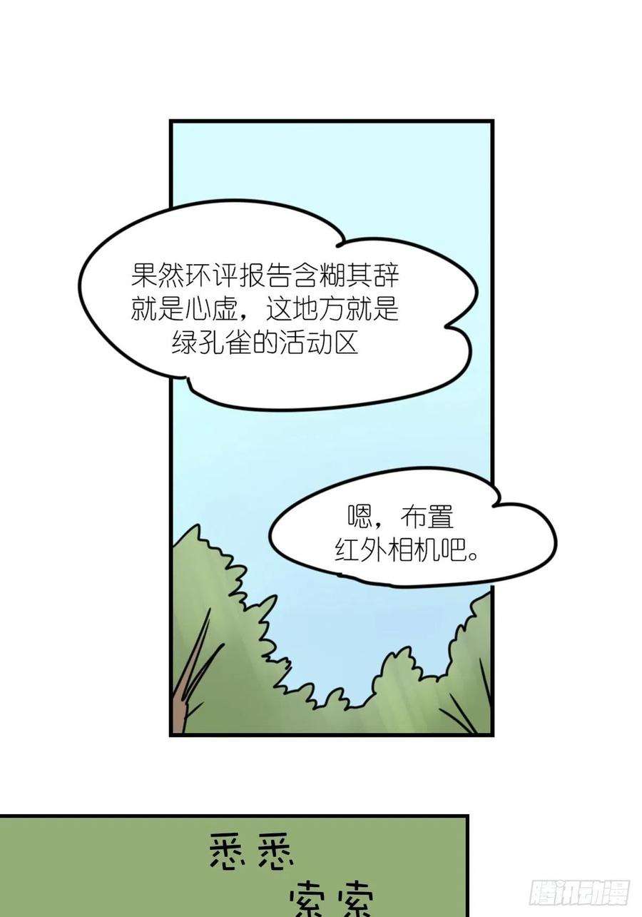 进化之基事业篇II：致绿孔雀04