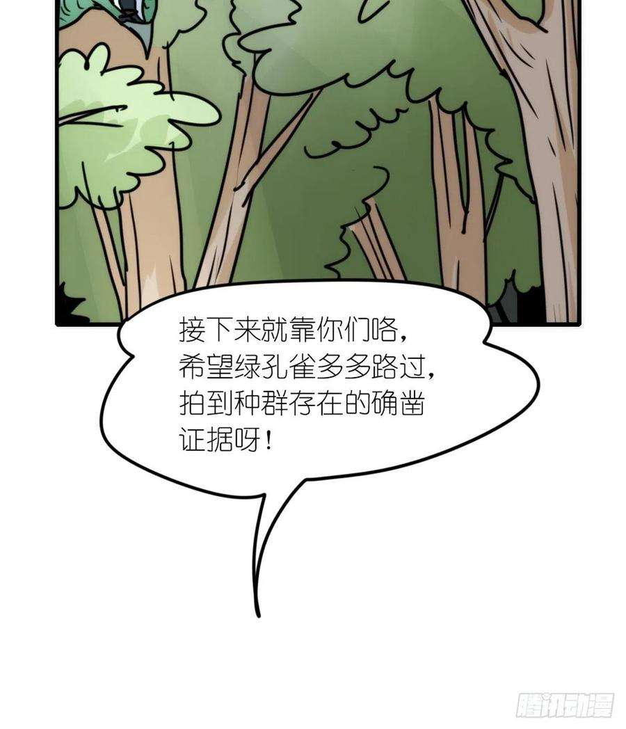 进化之基事业篇II：致绿孔雀04