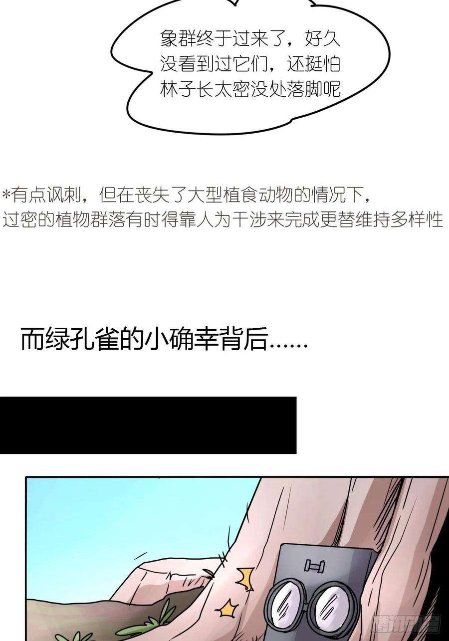 进化之基事业篇II：致绿孔雀05