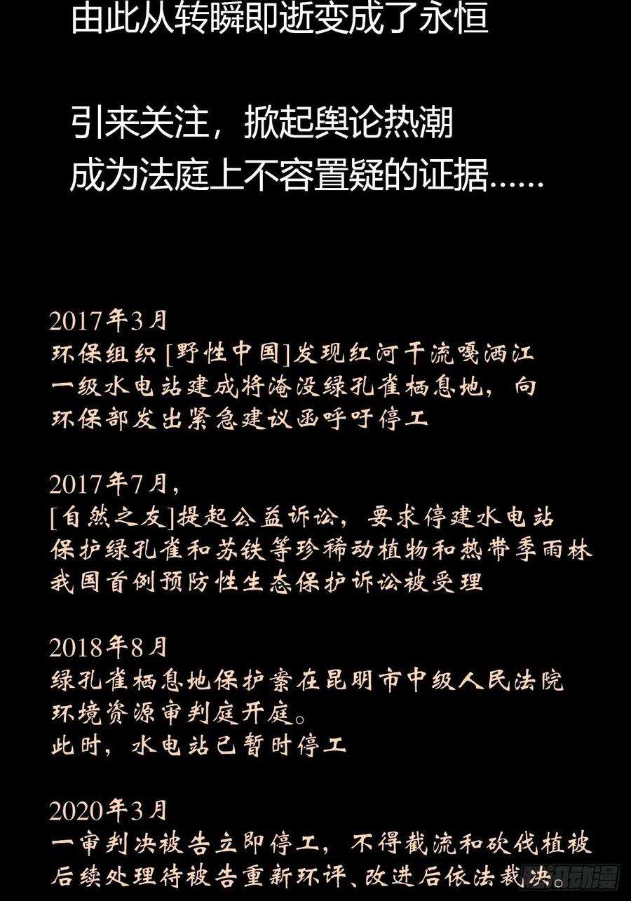 进化之基事业篇II：致绿孔雀05