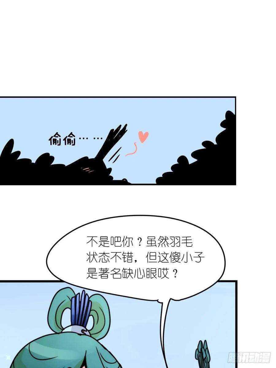 进化之基事业篇II：致绿孔雀05