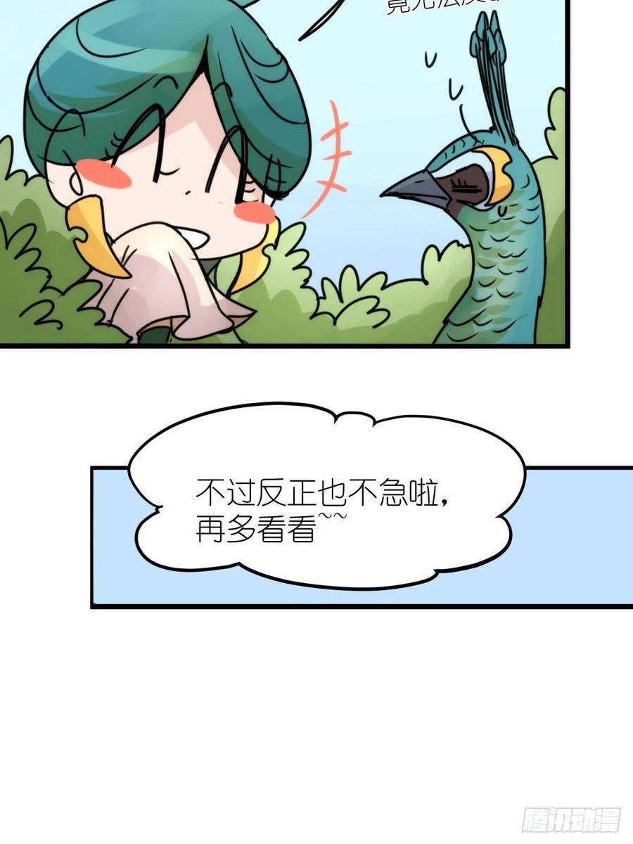 进化之基事业篇II：致绿孔雀05