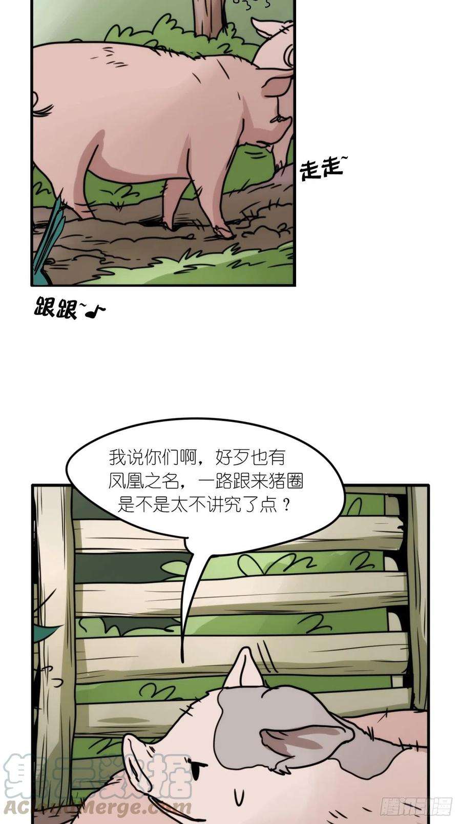 进化之基事业篇II：致绿孔雀05