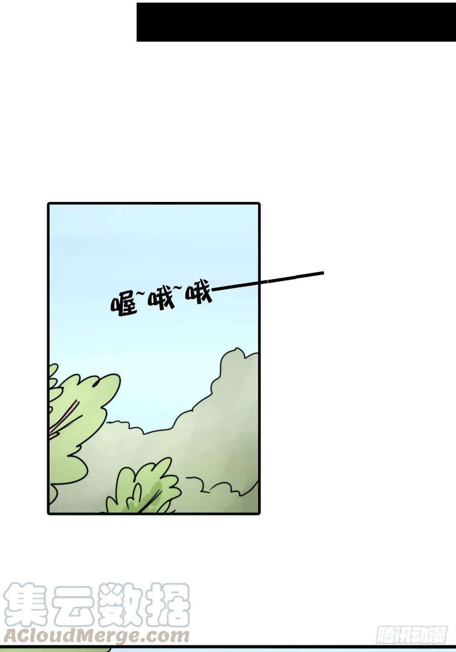 进化之基事业篇II：致绿孔雀05