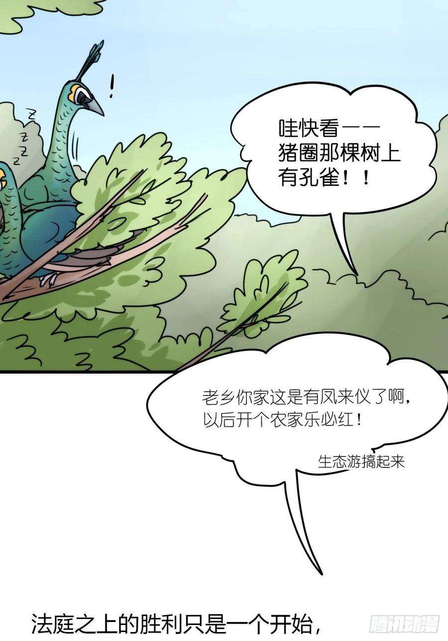 进化之基事业篇II：致绿孔雀05