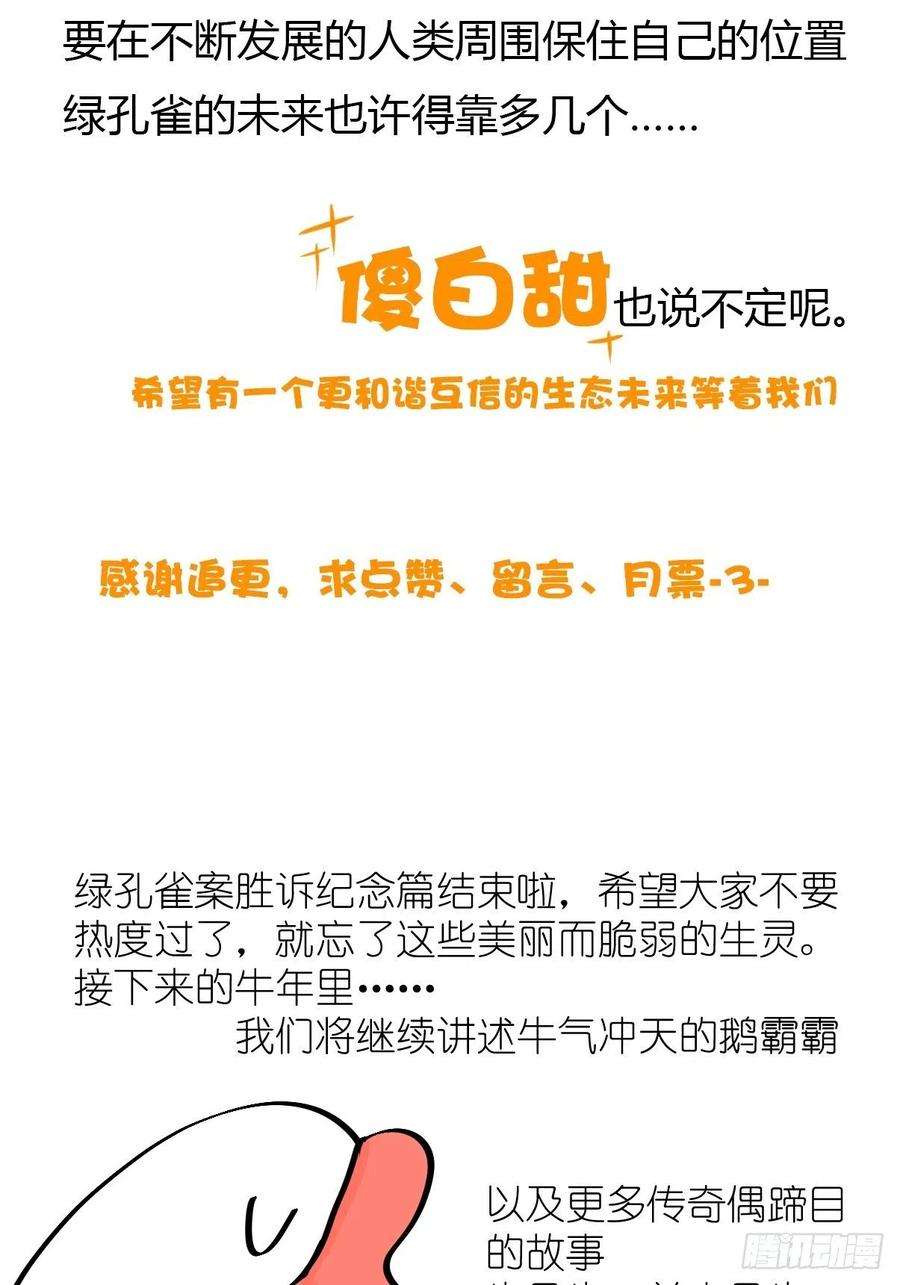 进化之基事业篇II：致绿孔雀05