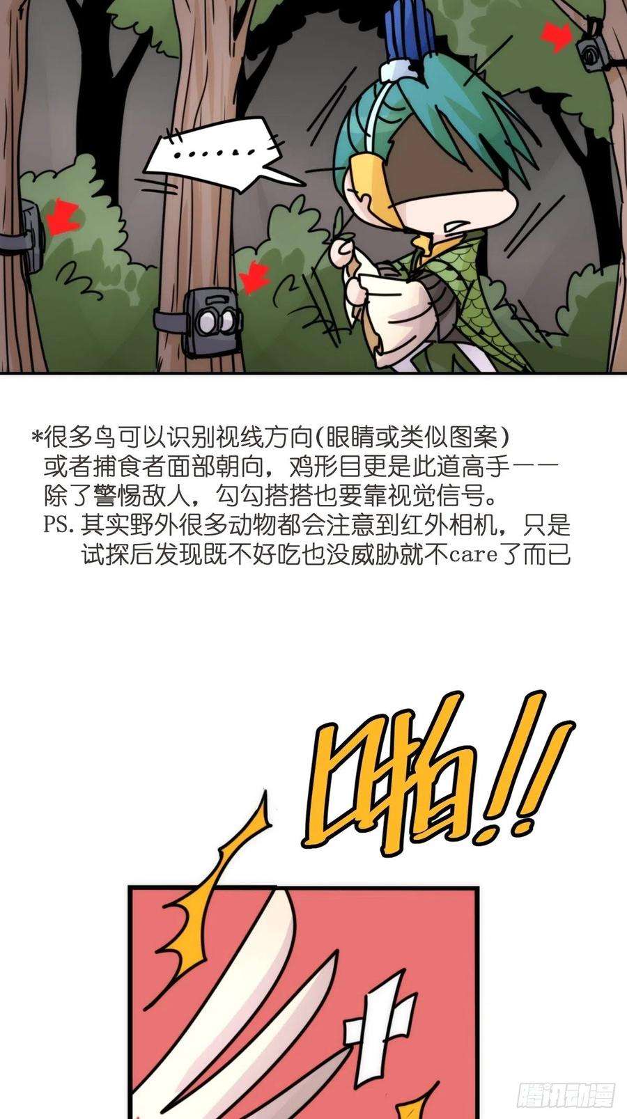 进化之基事业篇II：致绿孔雀05